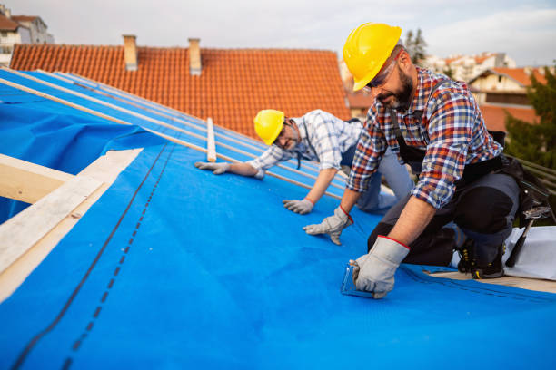 Best Metal Roofing Contractor  in Johnson City, TX